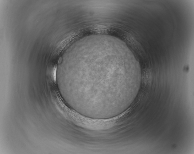 X0000112840047200908211251