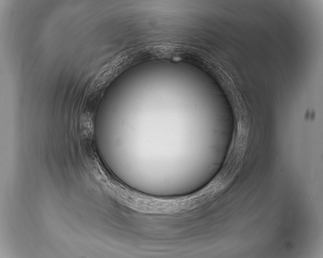 X0000112840048200908211251