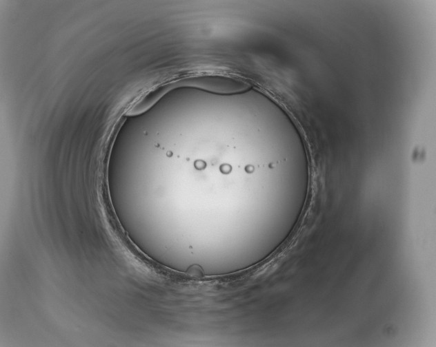 X0000112840049200908211250