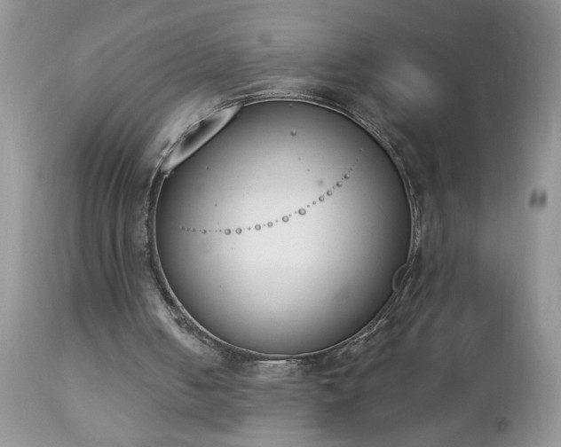 X0000112840050200908211250