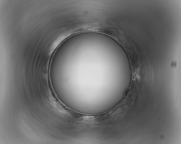 X0000112840052200908211250