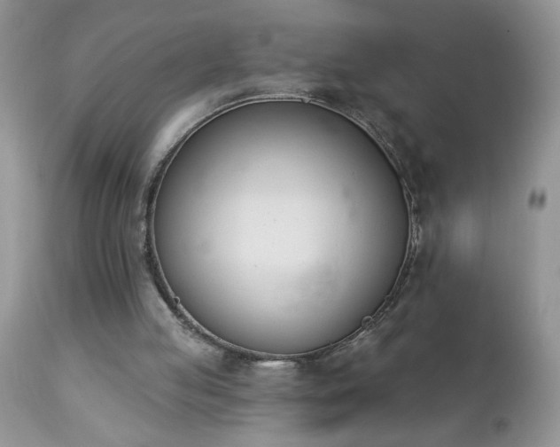 X0000112840053200908211250