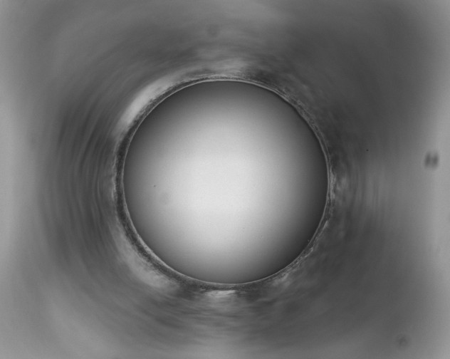 X0000112840054200908211250