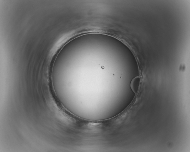 X0000112840055200908211250