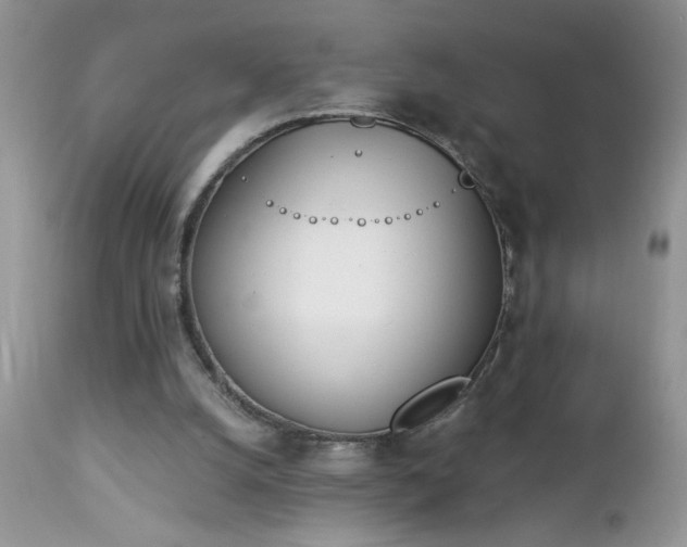 X0000112840056200908211250