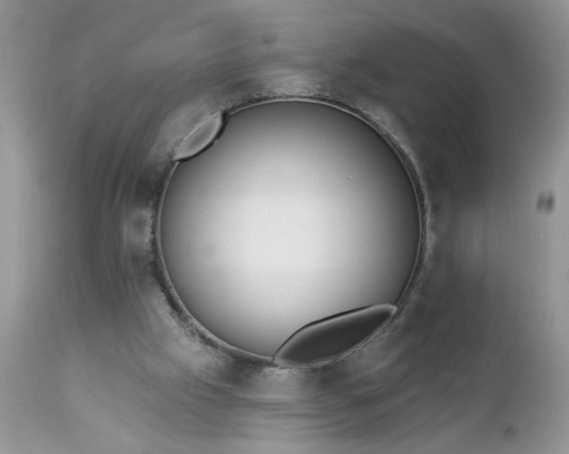 X0000112840057200908211250