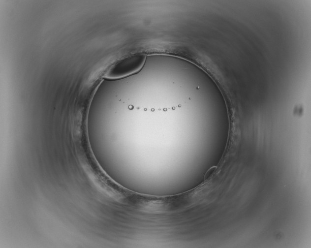 X0000112840058200908211250