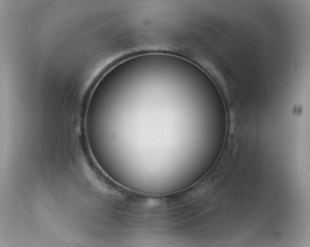 X0000112840060200908211250