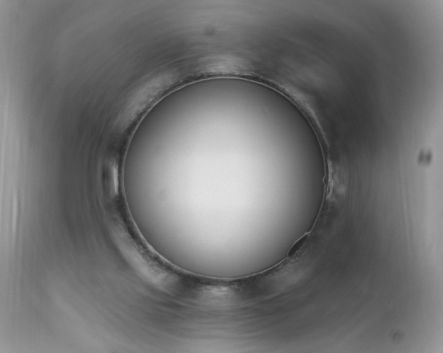 X0000112840061200908211250