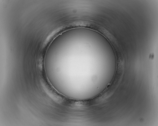 X0000112840064200908211250