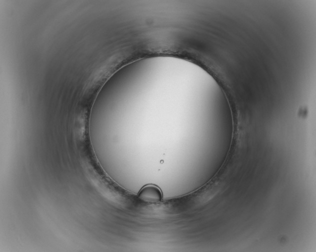 X0000112840065200908211250