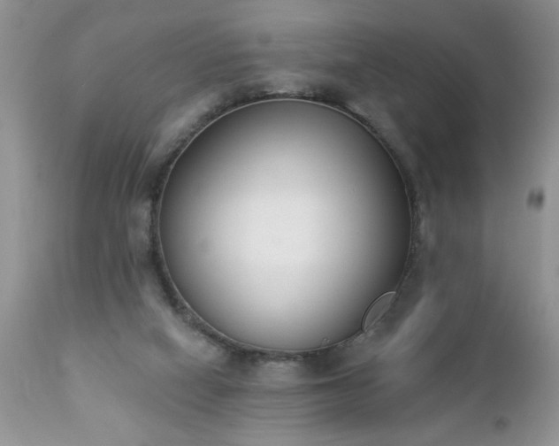 X0000112840066200908211250