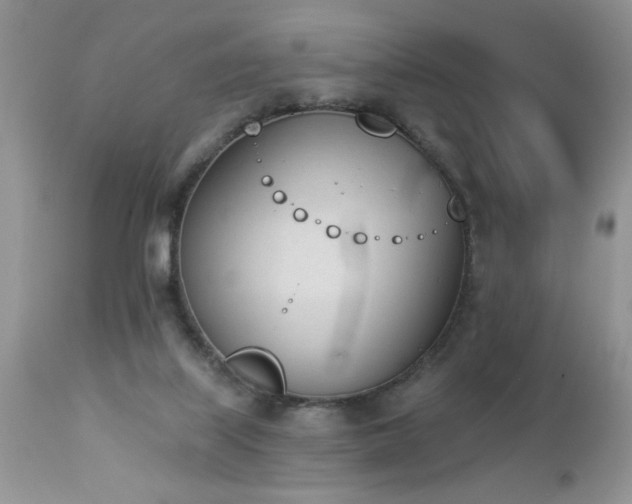 X0000112840067200908211250