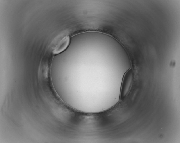 X0000112840068200908211250