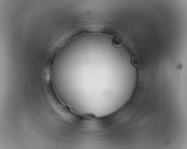 X0000112840069200908211250