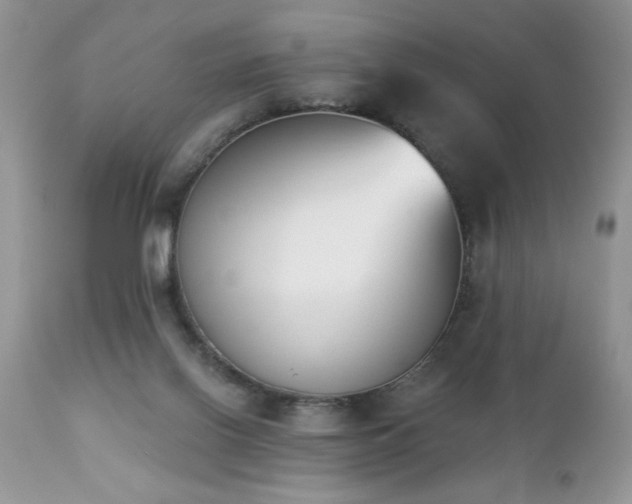 X0000112840070200908211250