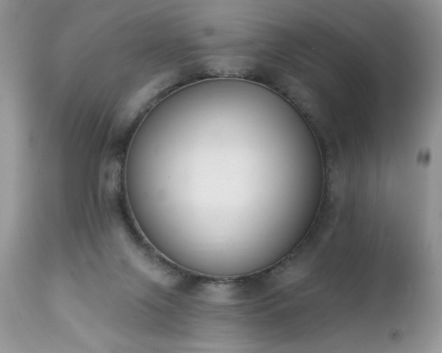 X0000112840071200908211250