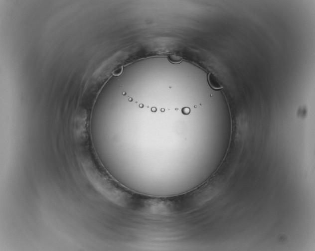 X0000112840073200908211250