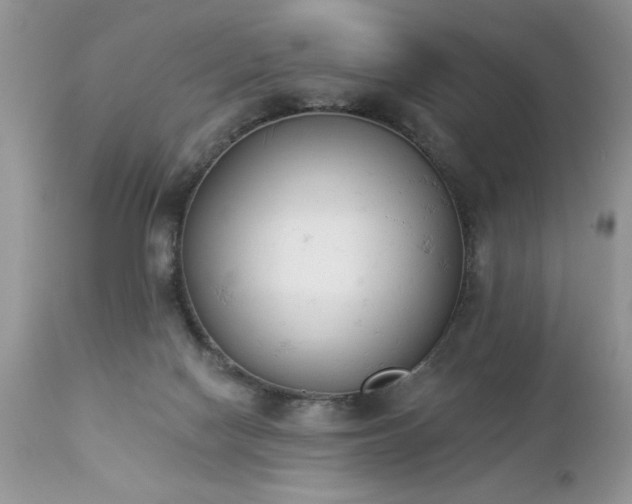 X0000112840074200908211250