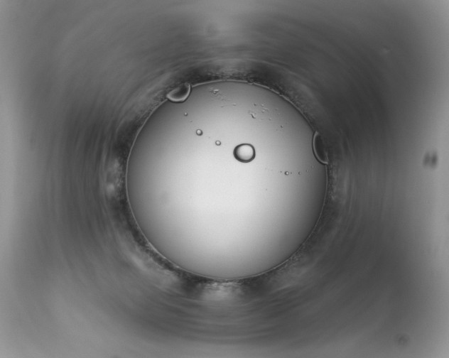 X0000112840077200908211250