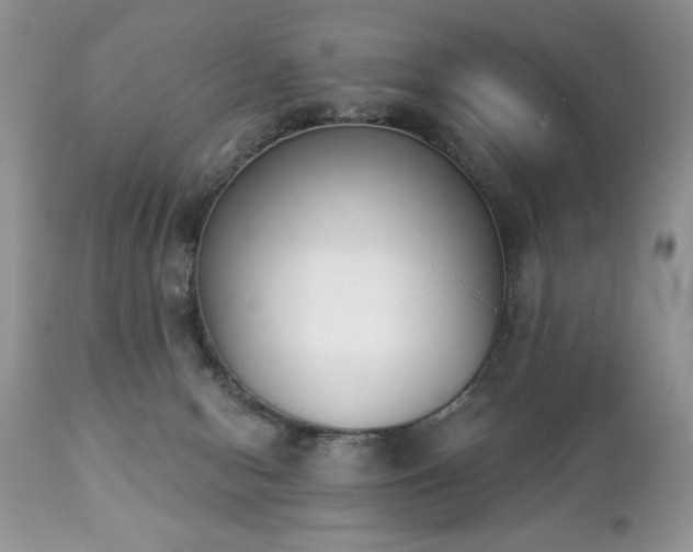 X0000112840078200908211250