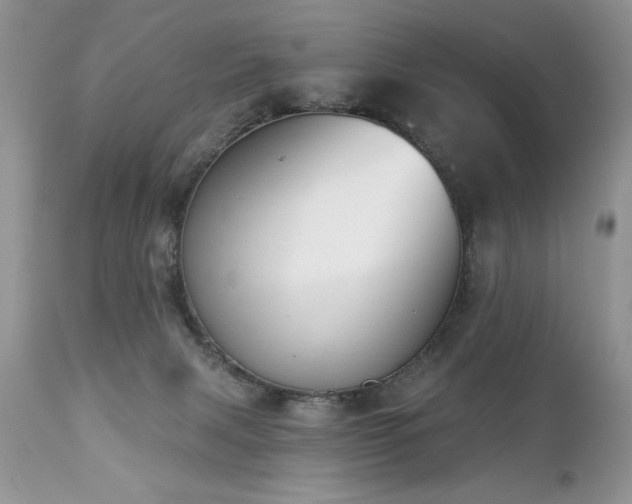 X0000112840079200908211250