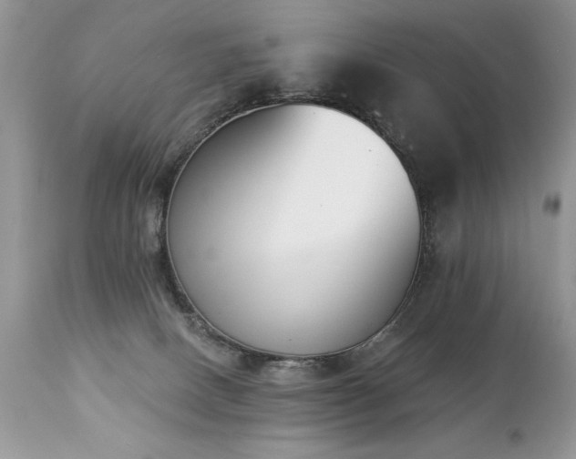 X0000112840082200908211250