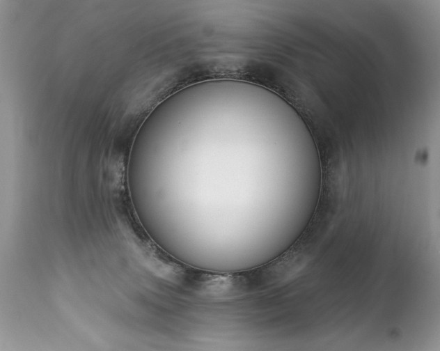 X0000112840083200908211250