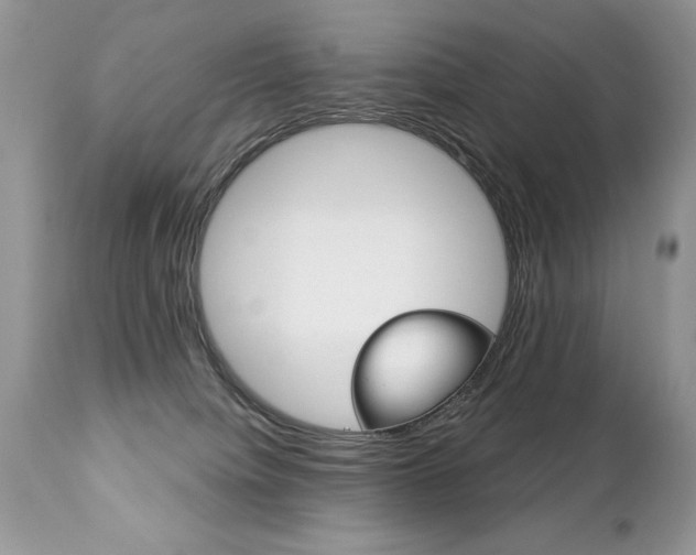 X0000112840084200908211250