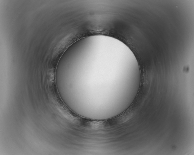 X0000112840085200908211250