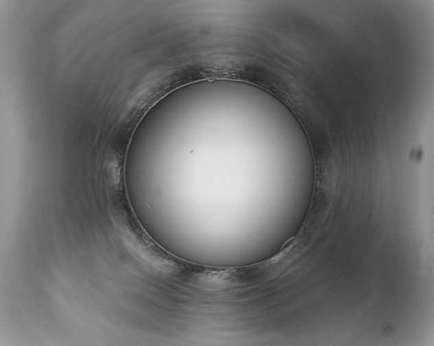 X0000112840086200908211250