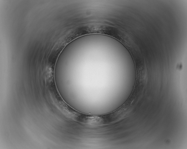 X0000112840087200908211250