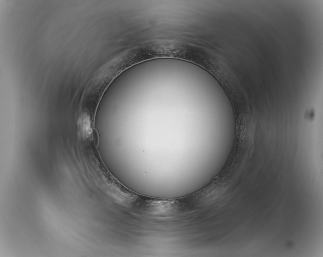 X0000112840089200908211250