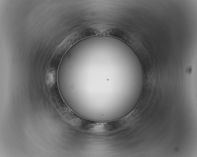 X0000112840090200908211250