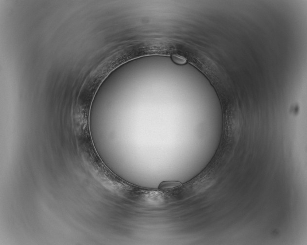 X0000112840091200908211250