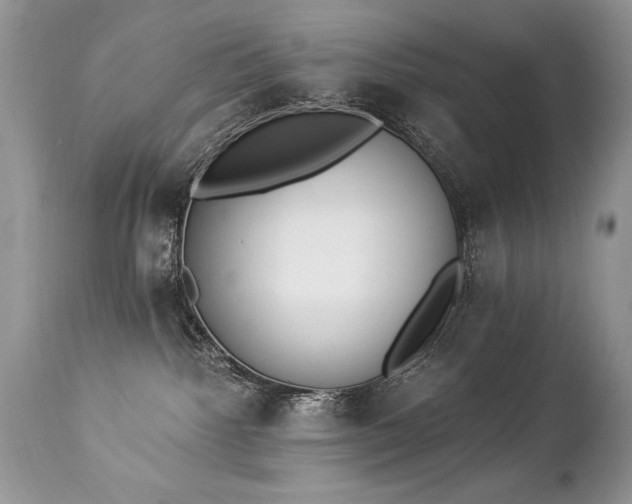 X0000112840092200908211251