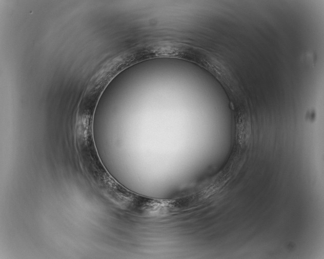 X0000112840093200908211251