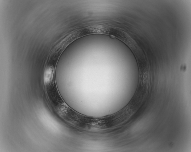 X0000112840095200908211251