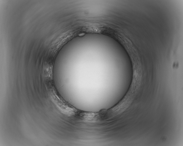 X0000112840096200908211251