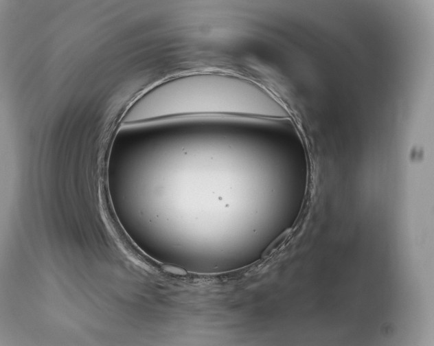 X0000112840097200908211250