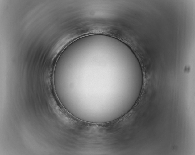 X0000112840098200908211250