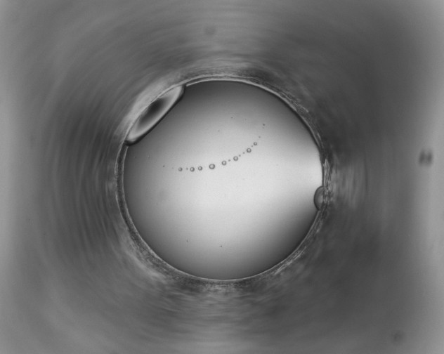 X0000112840099200908211250