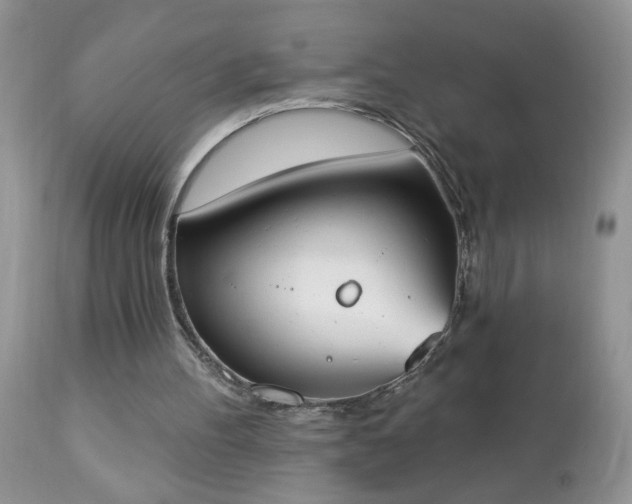 X0000112840100200908211250