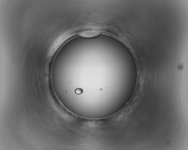 X0000112840103200908211250