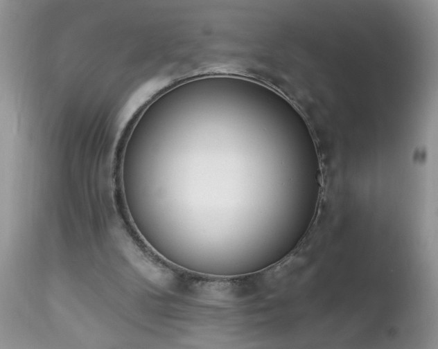 X0000112840104200908211250