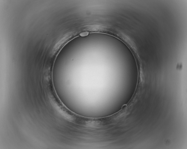 X0000112840105200908211250