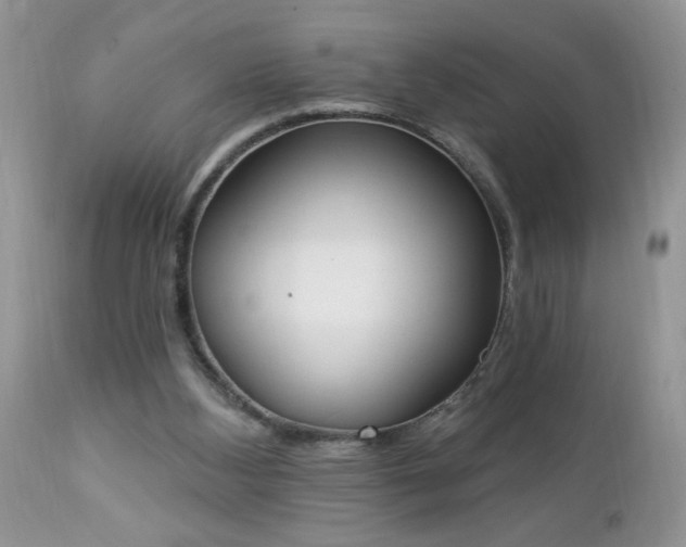 X0000112840108200908211250