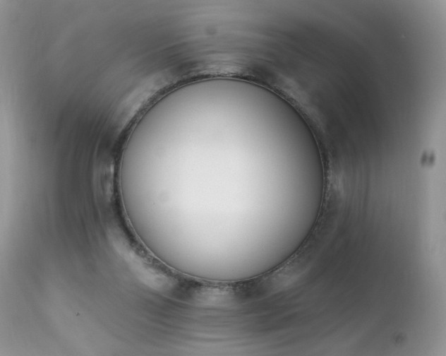 X0000112840110200908211250