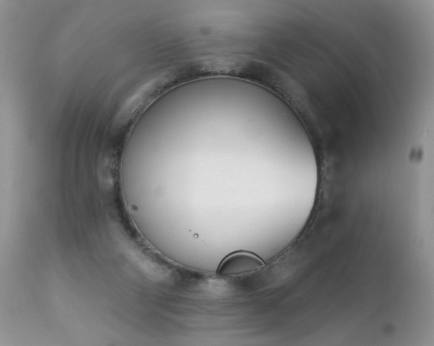 X0000112840114200908211250