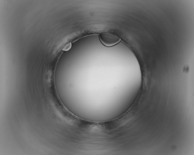 X0000112840115200908211250